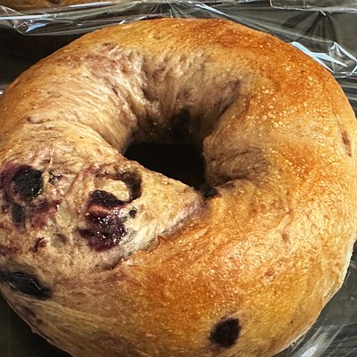 Blueberry Bagels