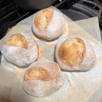 Plain Bread Bowls