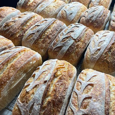 Rustic Sourdough Loaf