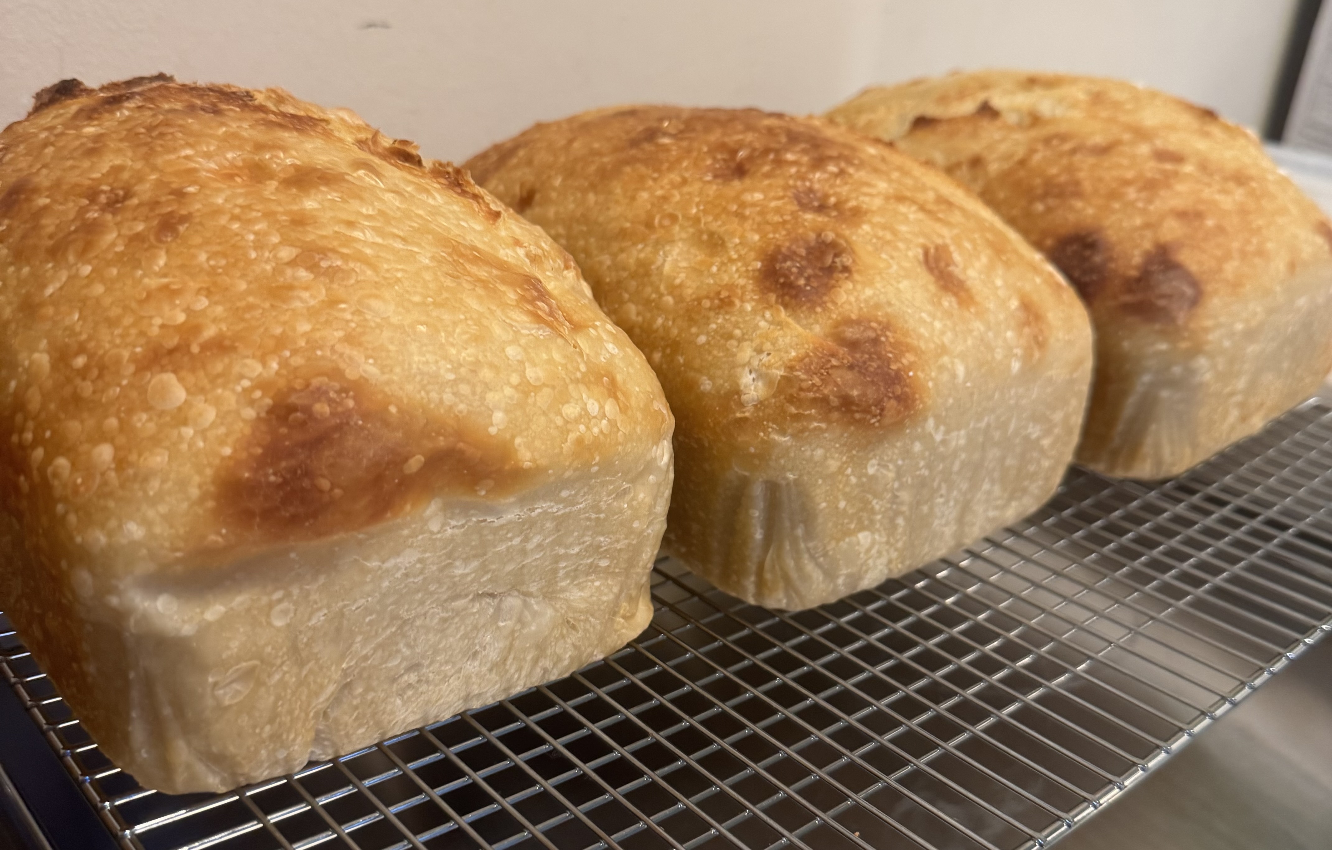 Sourdough Artisan Bread