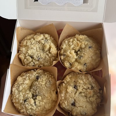 Chocolate Chip Muffins 