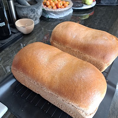 Honey Wheat Bread