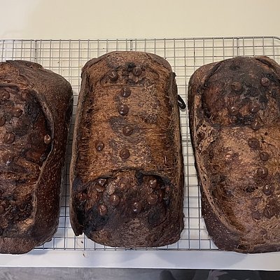 Double Chocolate Mocha Sour Dough Loaf
