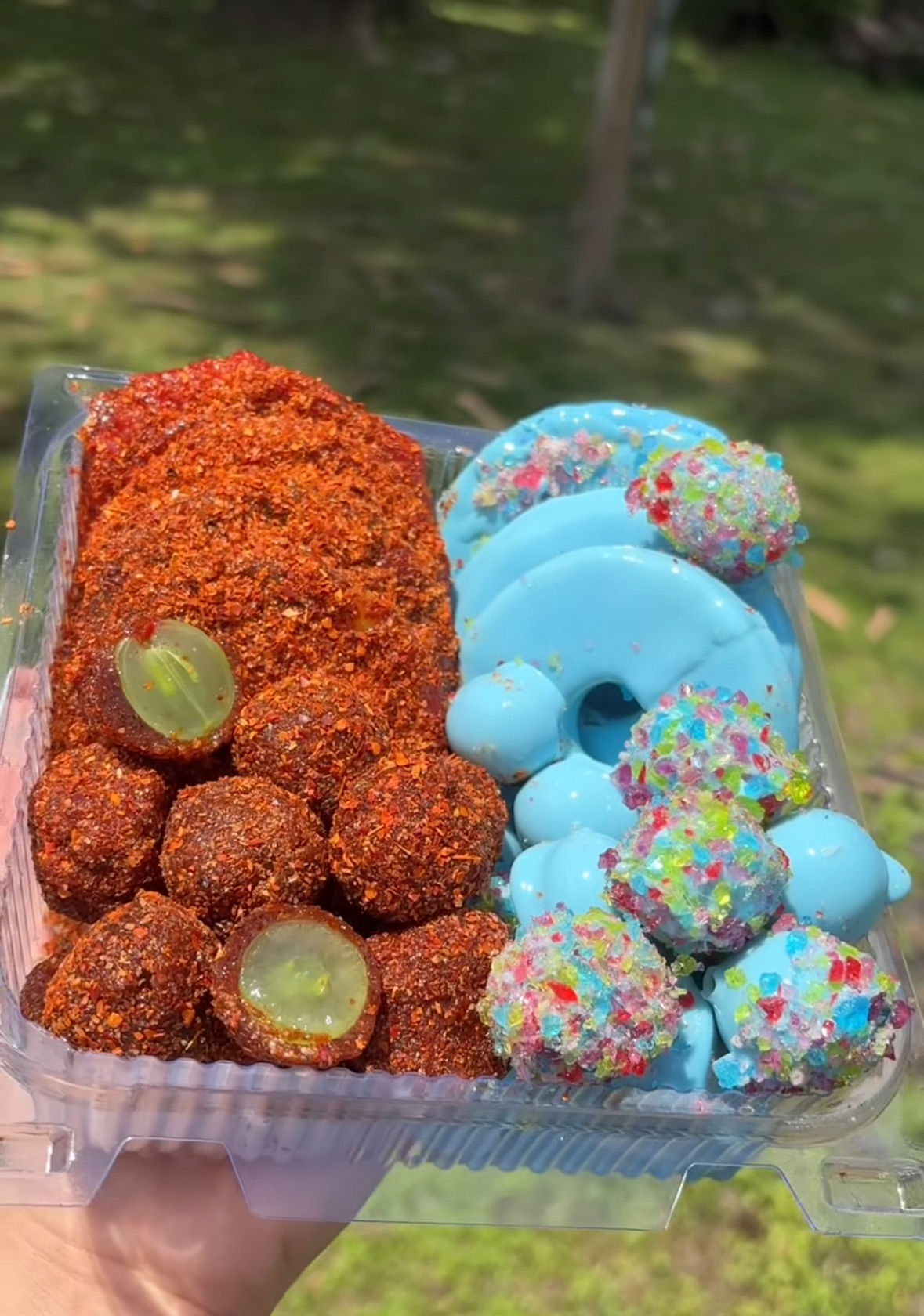 Candied Fruit 