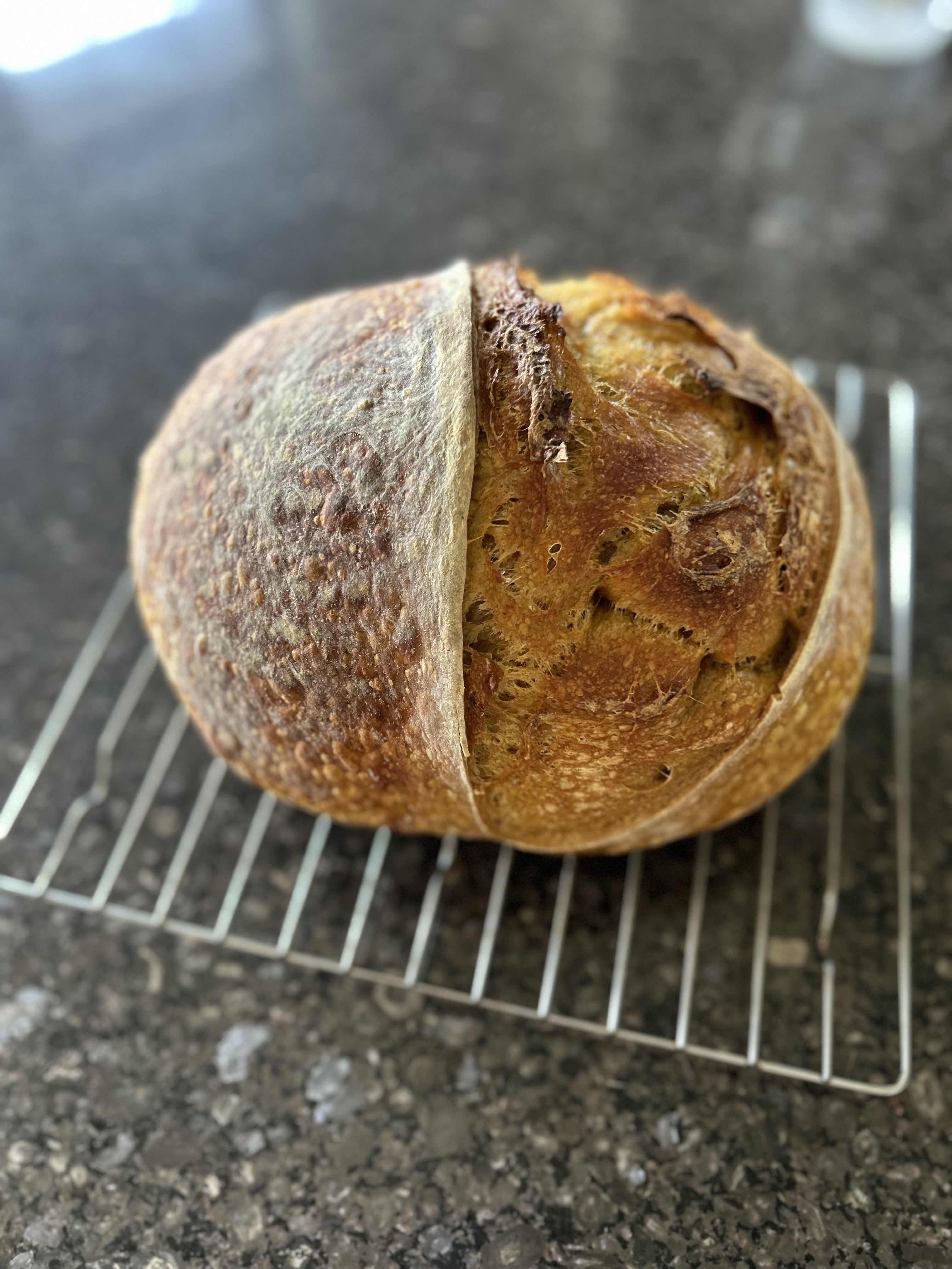 Limited Edition Pumpkin Sourdough Loaf