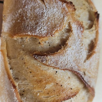 Plain Sourdough Loaf