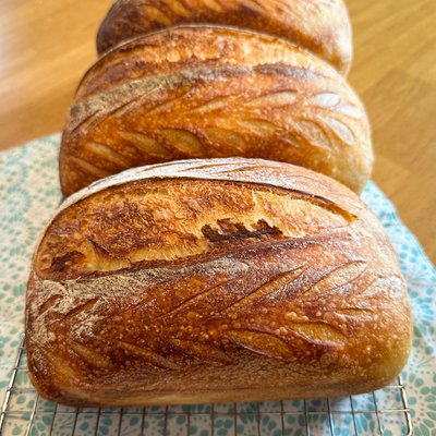 Sourdough Sandwich Bread 