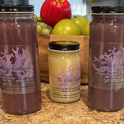 16 oz Purple Sea Moss Gel