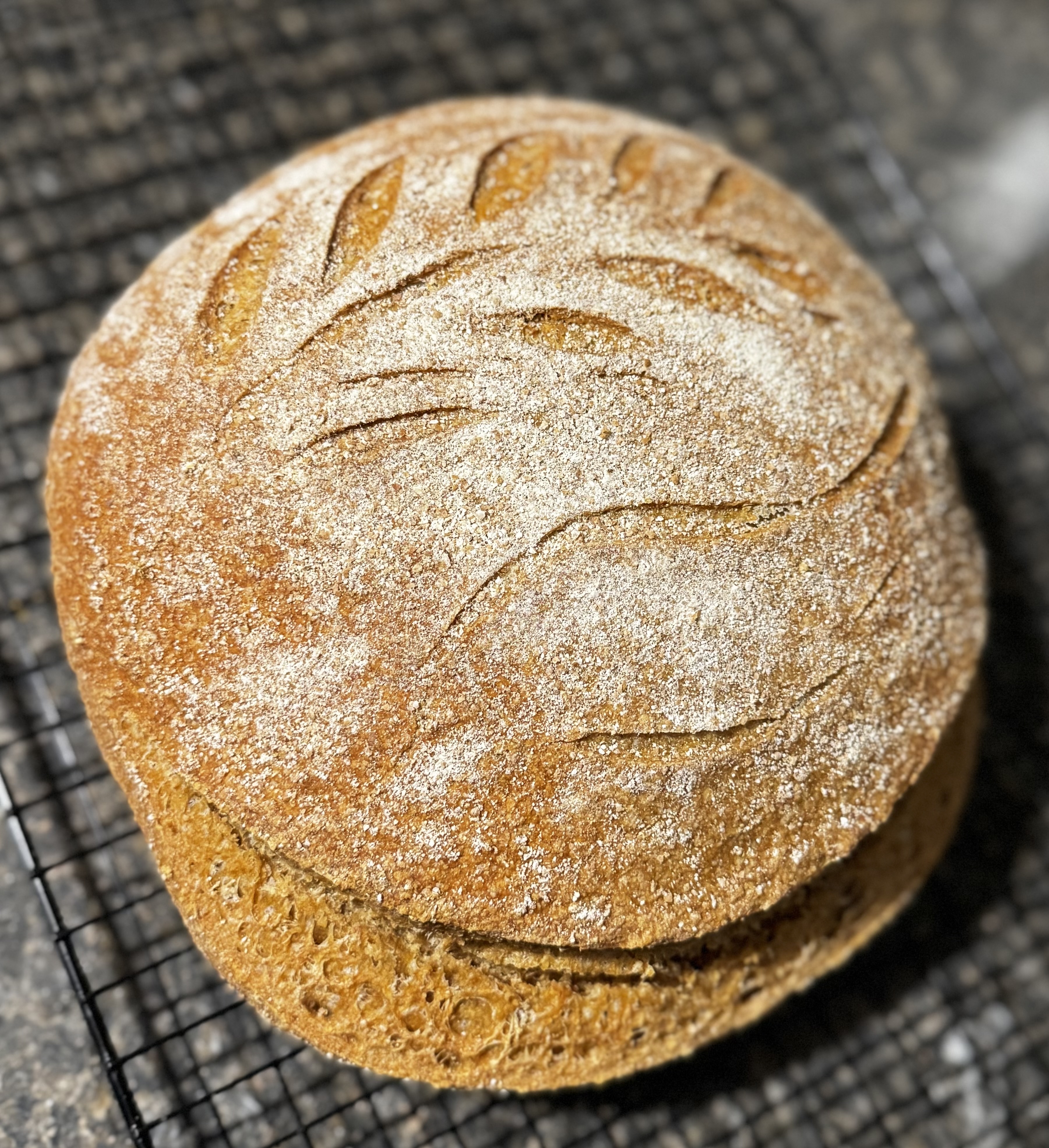 Plain Sourdough 