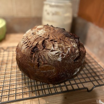 Double Chocolate Chip Sourdough 