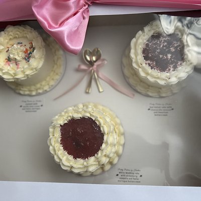 Small Cake Tasting Box