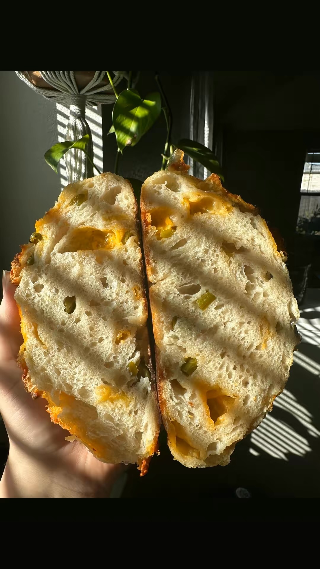 Jalapeño & Cheddar Sourdough 