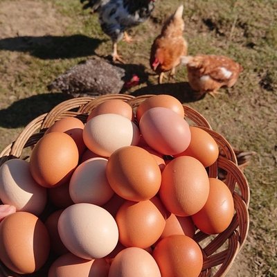 Dozen Eggs