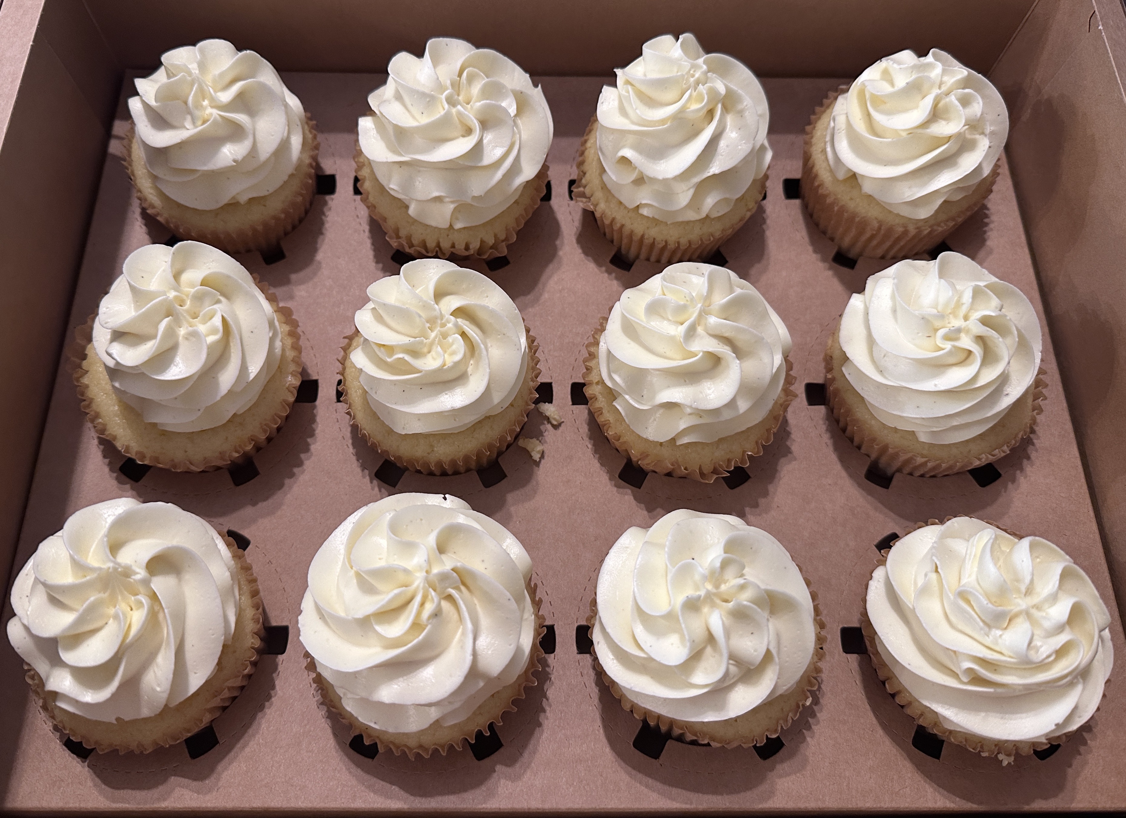 Cupcakes - Unfilled, Dozen