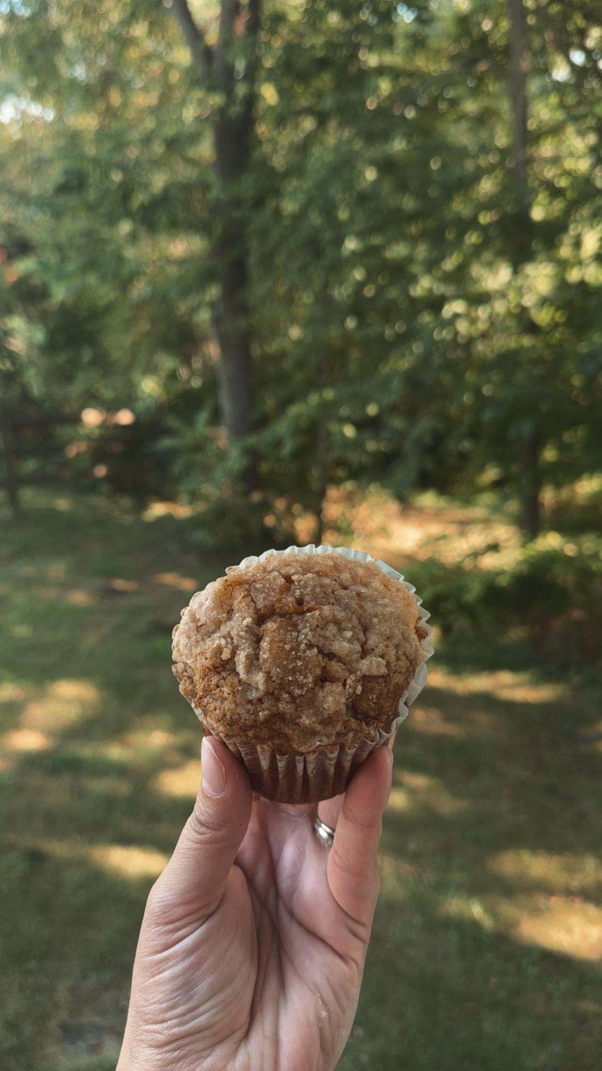 Pumpkin Muffins 4ct