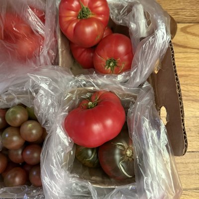 Tomato Small Slicer