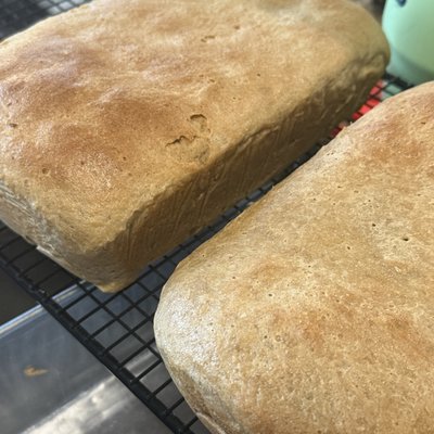 Fresh Milled Sandwich Bread 