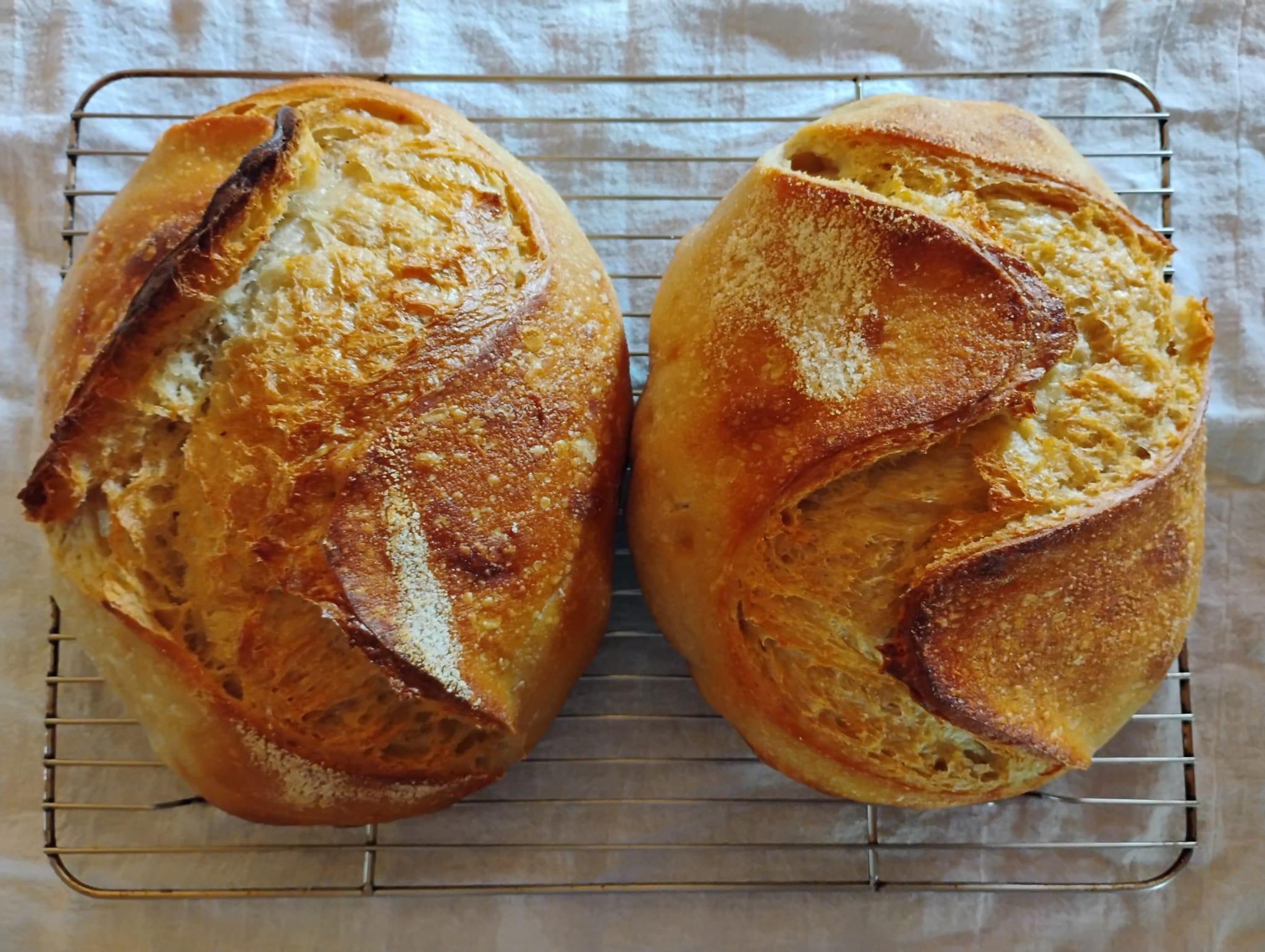 Classic Artsian Sourdough Loaf