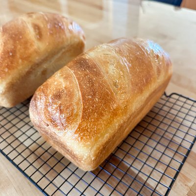 Sourdough Sandwich Loaf