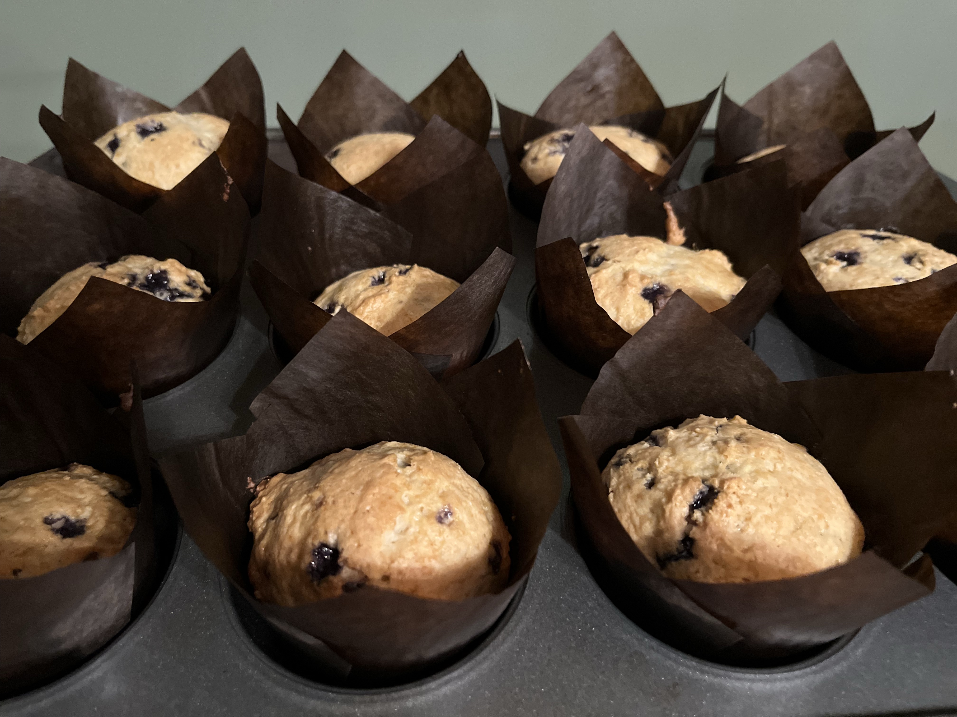 Speciality Sourdough Muffins 