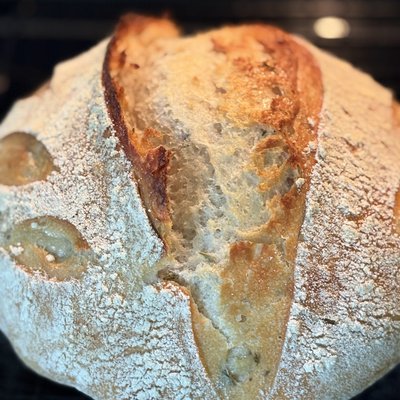 Organic Plain Sourdough 