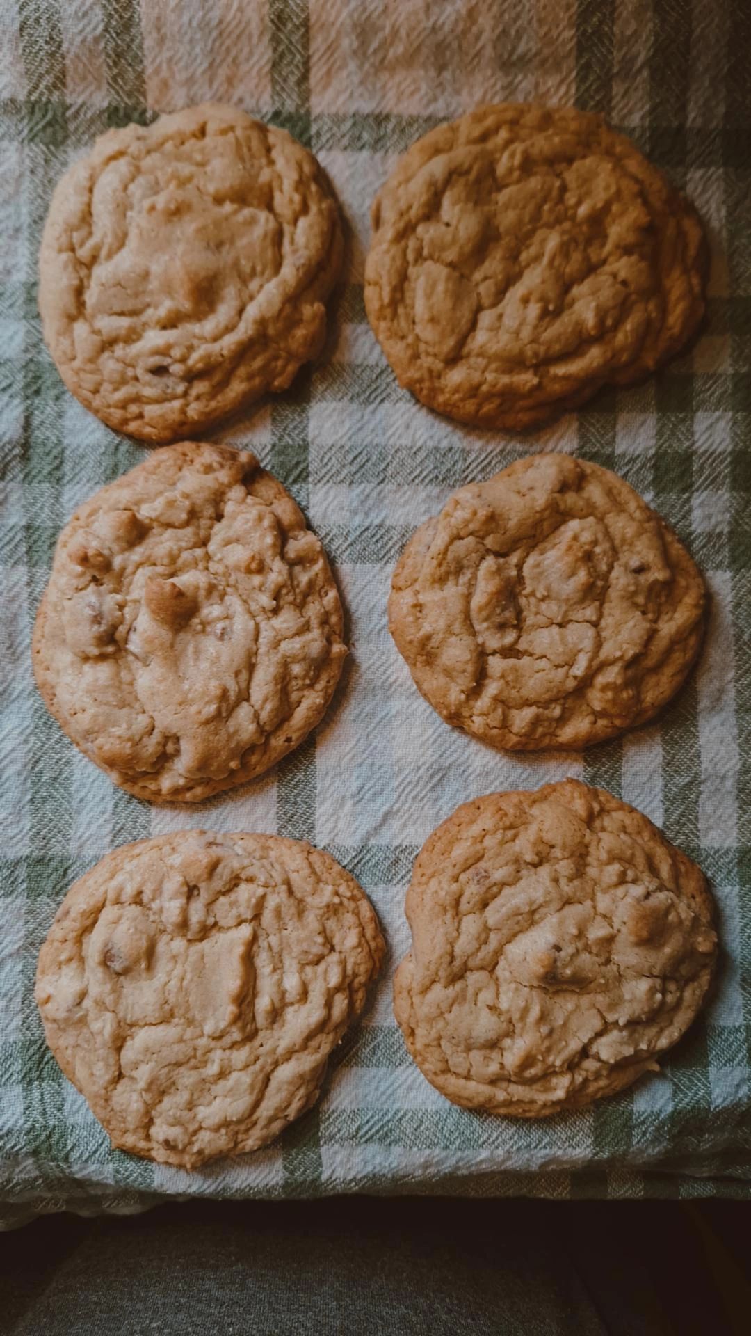 Einkorn Chocolate Chip Cookies 