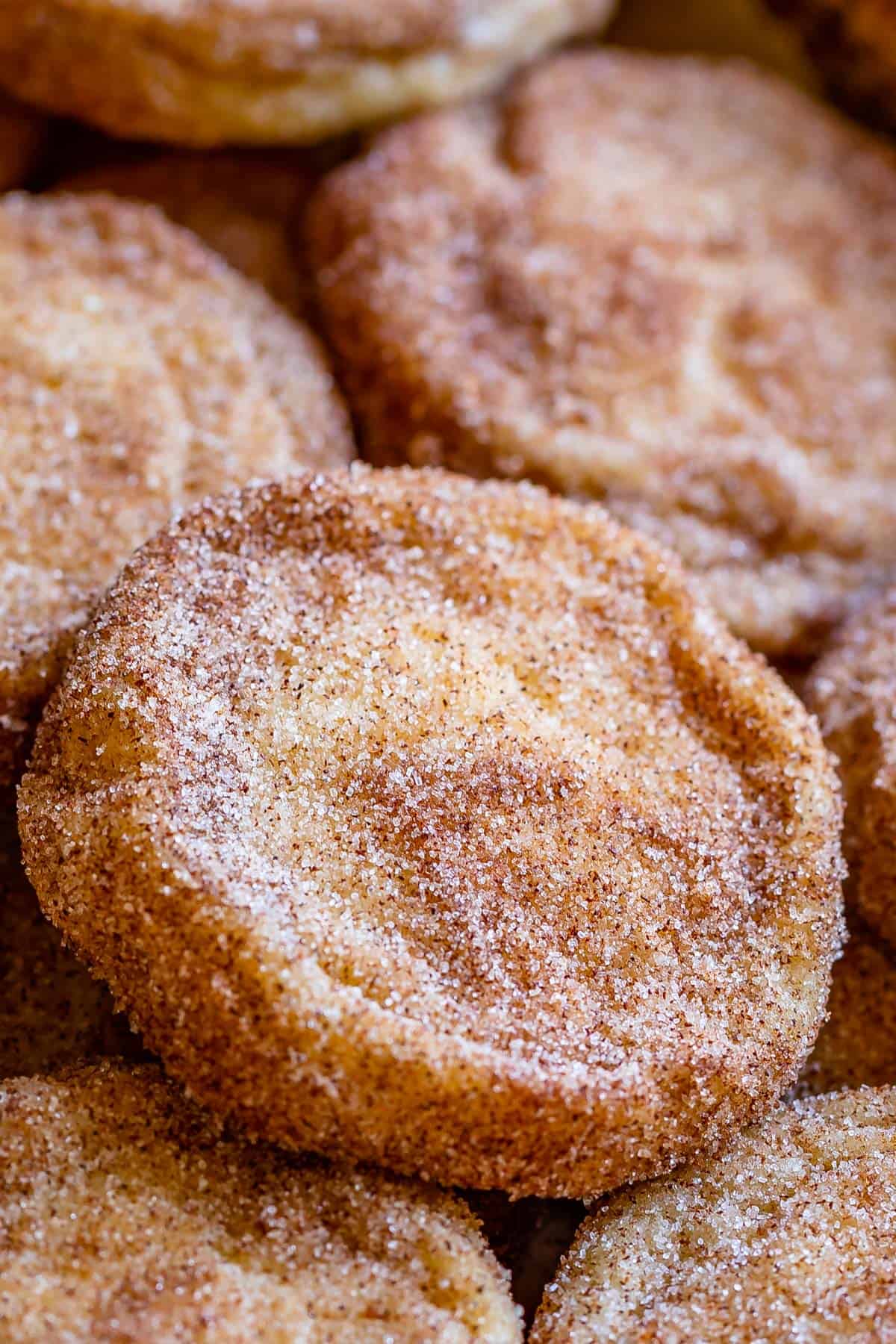 Snickerdoodle 
