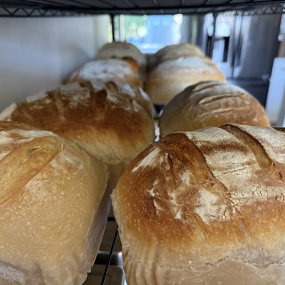 Weekly Bread Subscription-1 Month, Lg Soft Sourdough Loaf