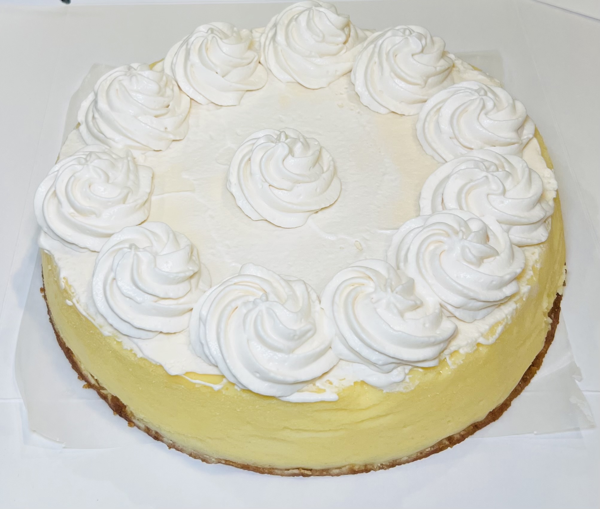 Plain Cheesecake