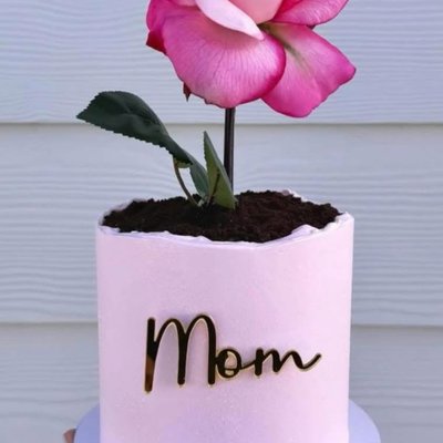 Mom Cake 6” With Flower Plant 