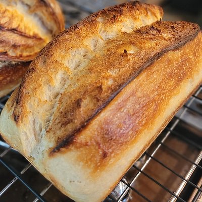 Sourdough Bread (Sandwich Loaf)