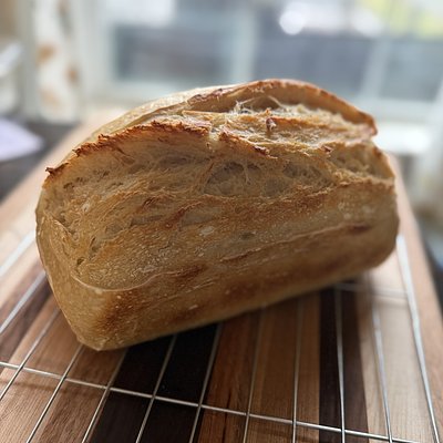 Sourdough Loaves