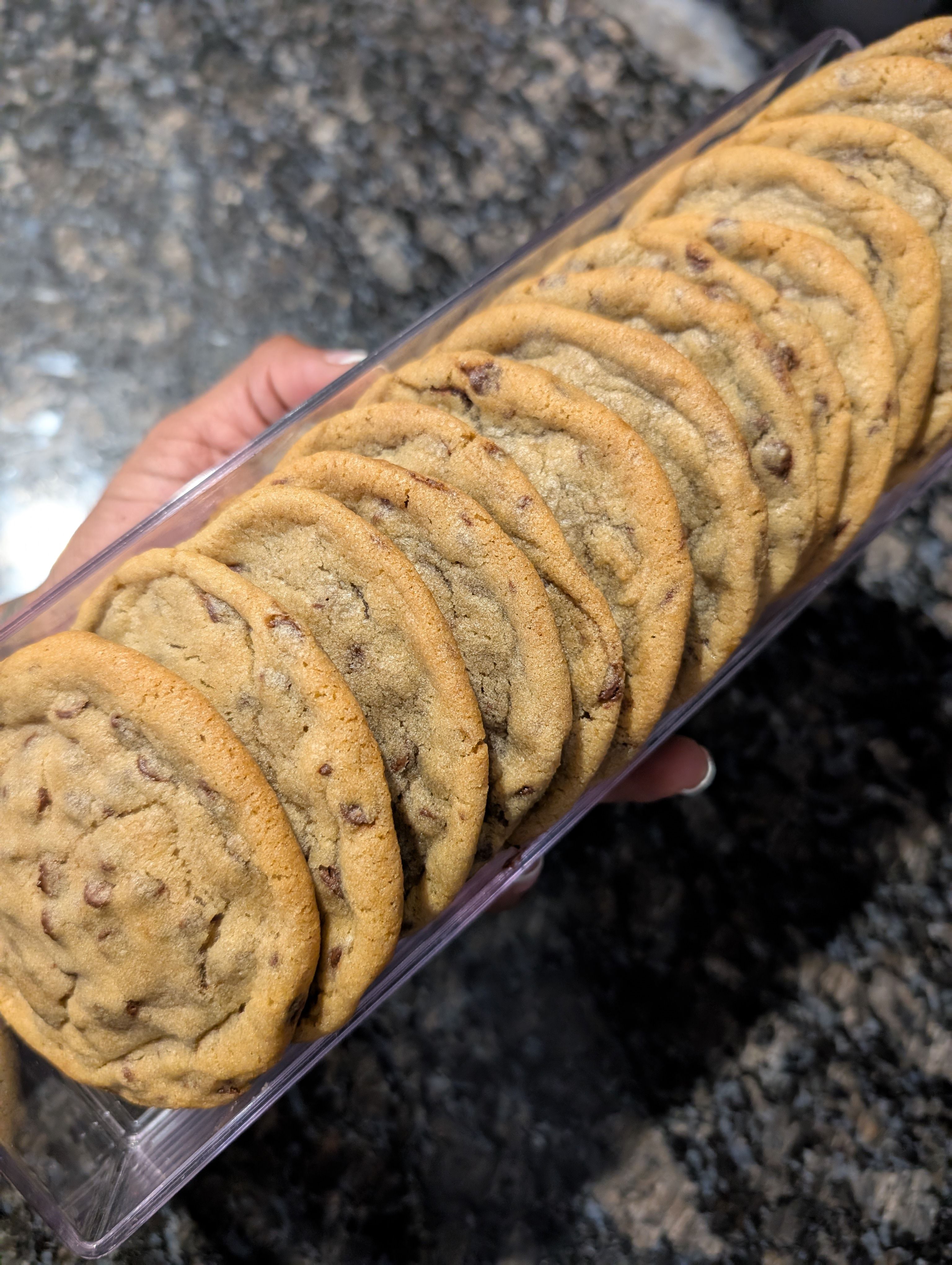 Chocolate Chip 