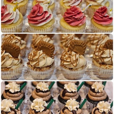 Gourmet Cupcakes