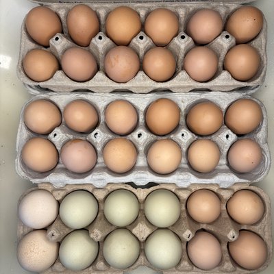 18 Pack Of Eggs