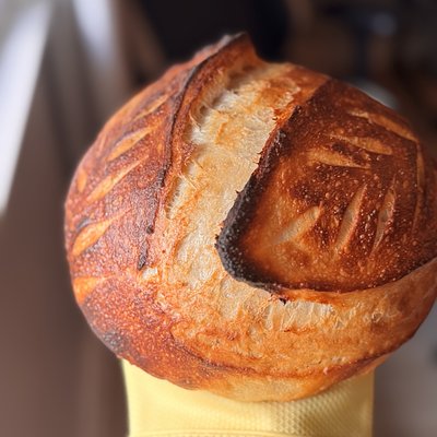 Organic Sourdough 