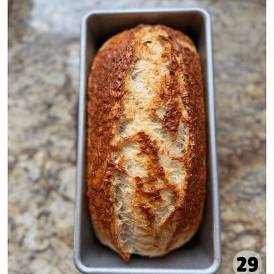 Asiago Cheese, Rosemary & Italian Herb Sourdough Loaf (Whole- Unsliced)
