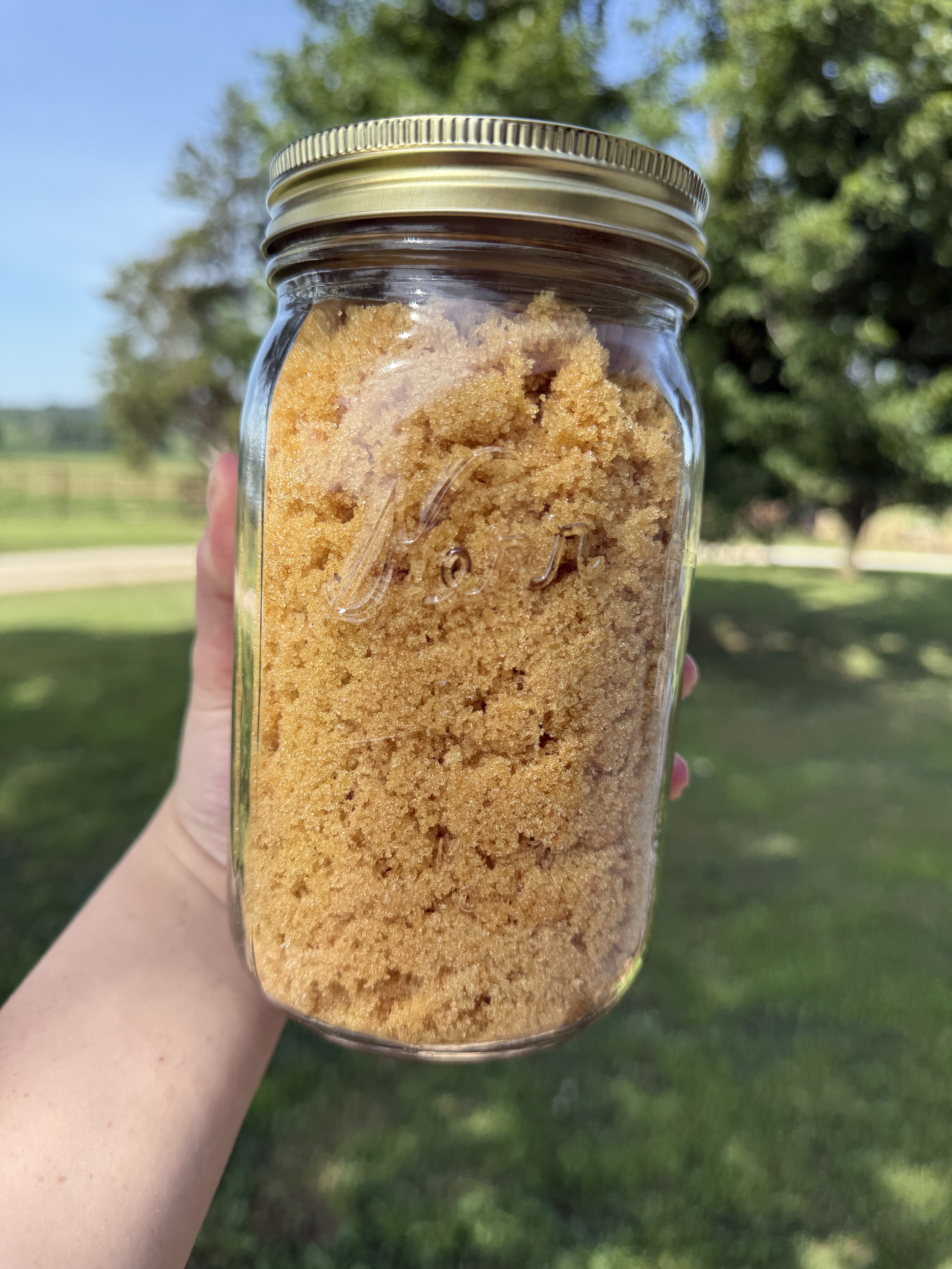 Pint Sized Jar Of Homemade Brown Sugar 