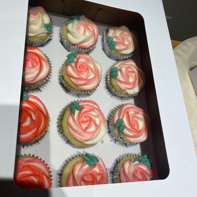 Dozen Cupcakes 