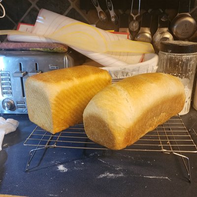 Sourdough loaf pan sandwich bread