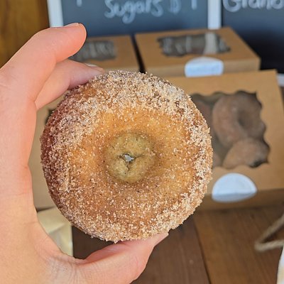 Chai Spice Donuts (4 Count)