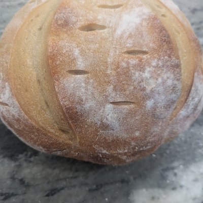 Classic Sourdough Bread 
