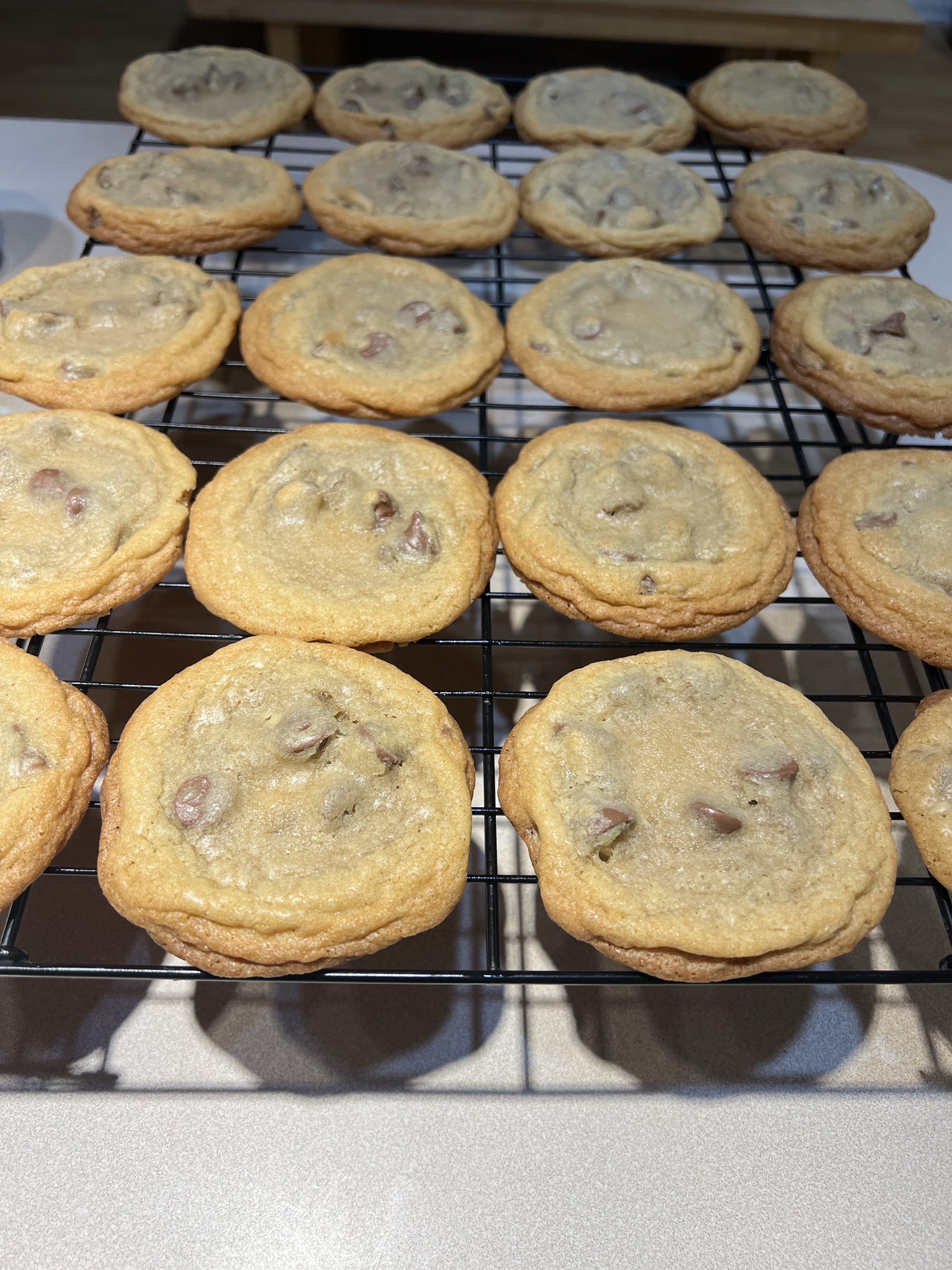 Chocolate chip