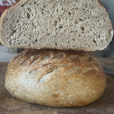Whole Wheat sourdough