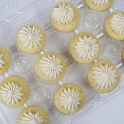 Classic White Cupcakes