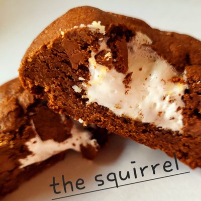 The Squirrel 