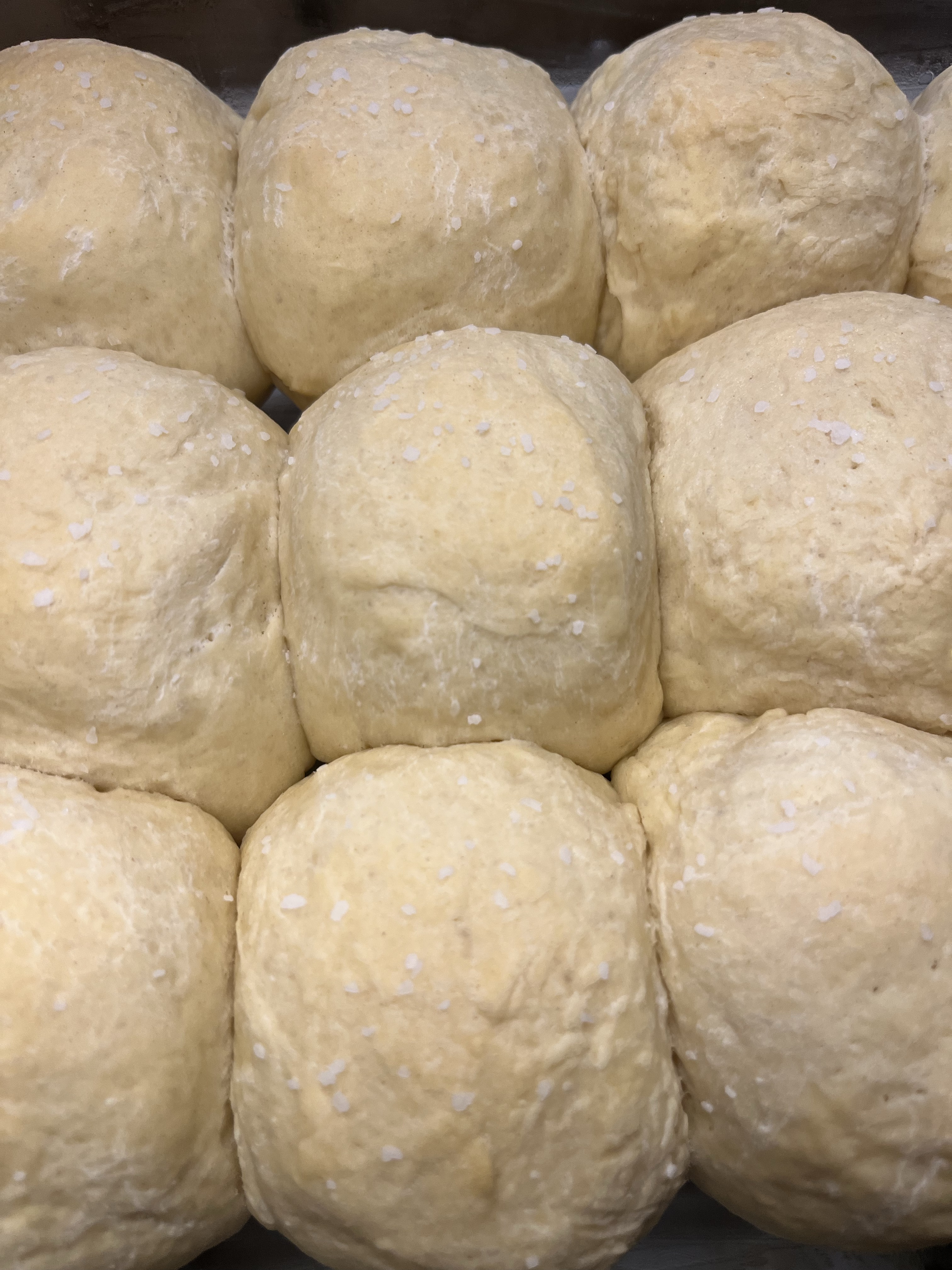 Sourdough Dinner Rolls