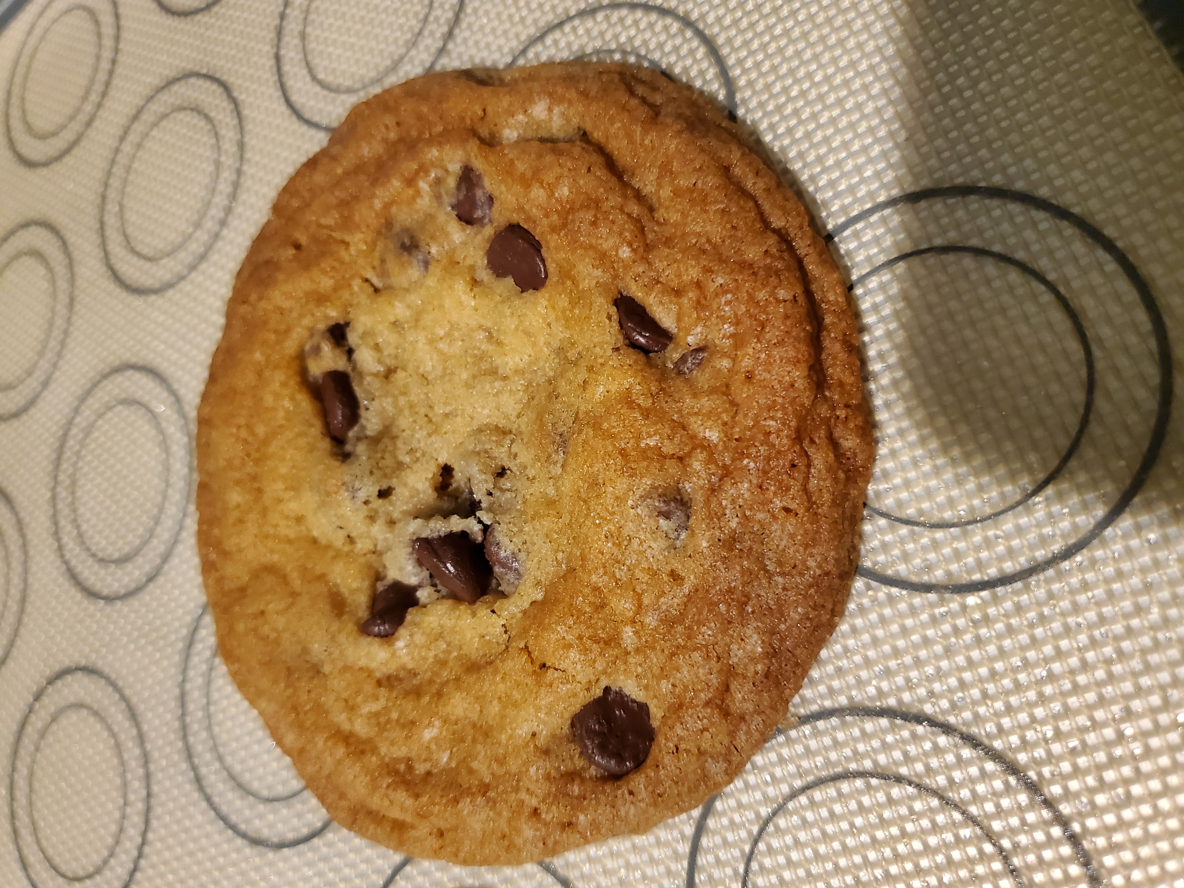 Chocolate Chip