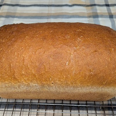 Maple Wheat Sandwich (9x5) 🌿
