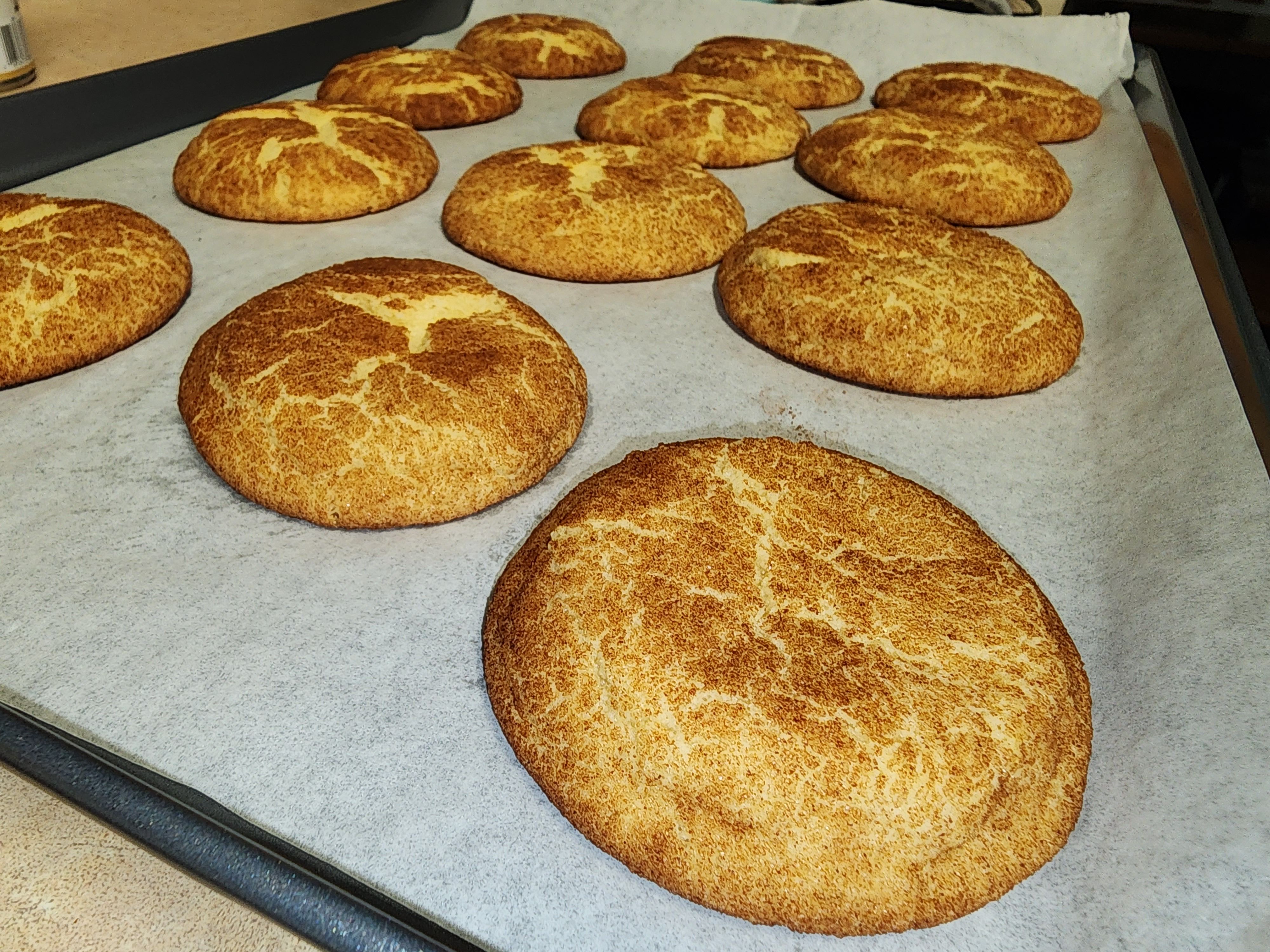 Snickerdoodle